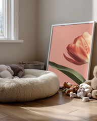 Corail Rose Poster Tablosu