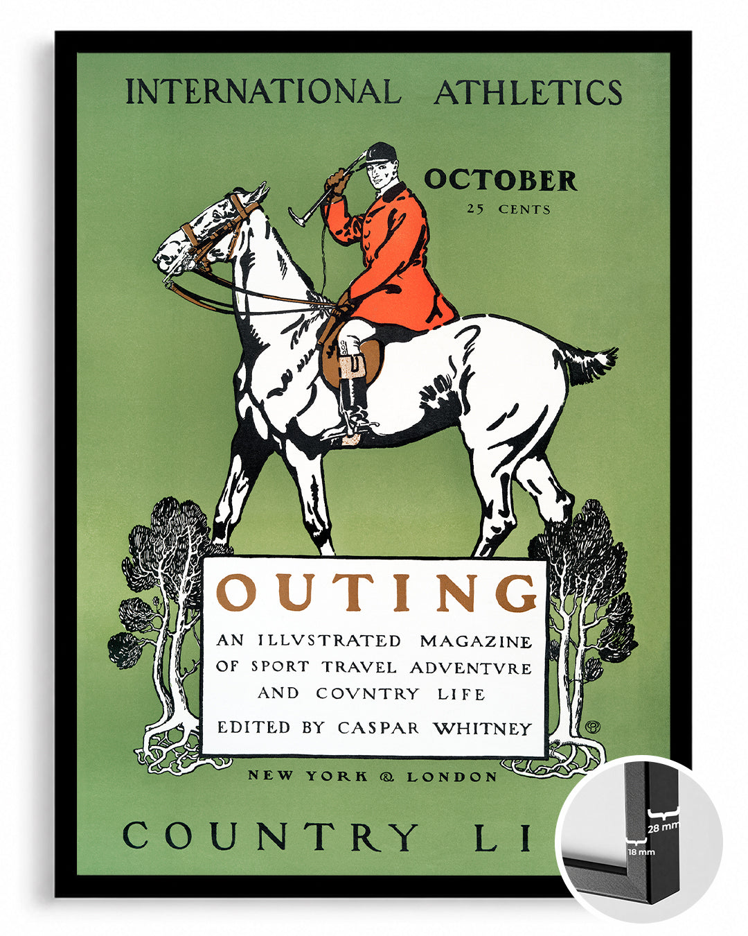 Country Life Poster Tablosu