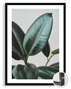 Dark Leaf Poster Tablosu