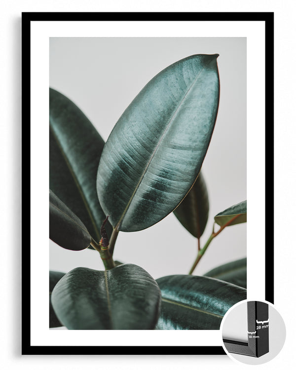 Dark Leaf Poster Tablosu