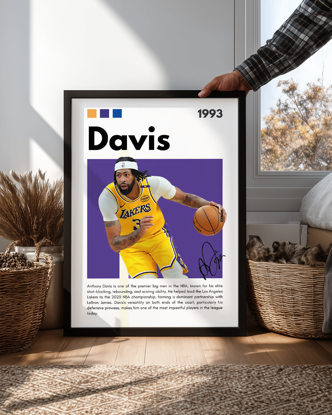 Davis 1993 Poster Tablosu