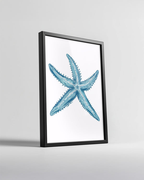 Deniz Yıldızı - Beş Kollu Mavi Desen Poster Tablosu