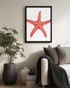 Deniz Yıldızı - Kırmızı Doku Deseni Poster Tablosu
