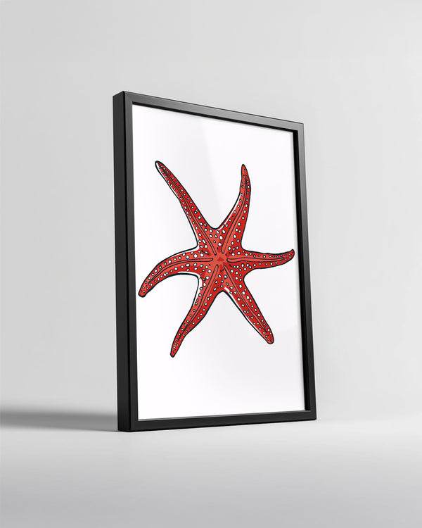 Deniz Yıldızı - Kırmızı Renkli Dallanmış Kollu Poster Tablosu