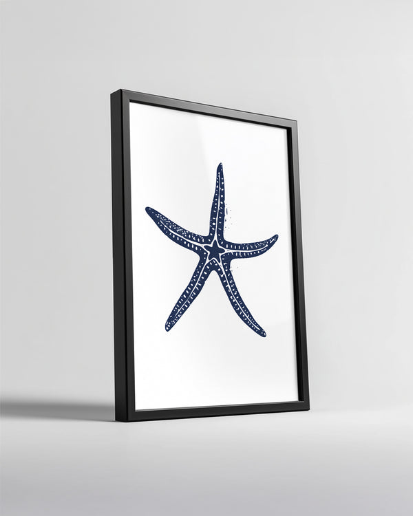 Denizyıldızı - Altı Kol Yapısı Poster Tablosu