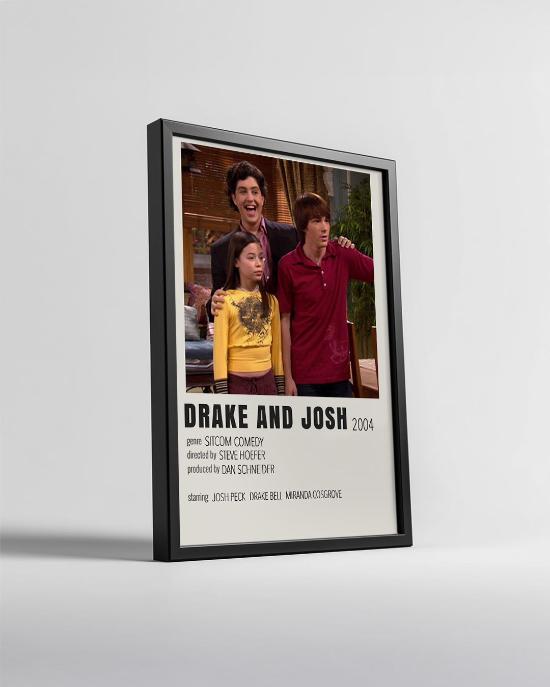 Drake And Josh Poster Tablosu