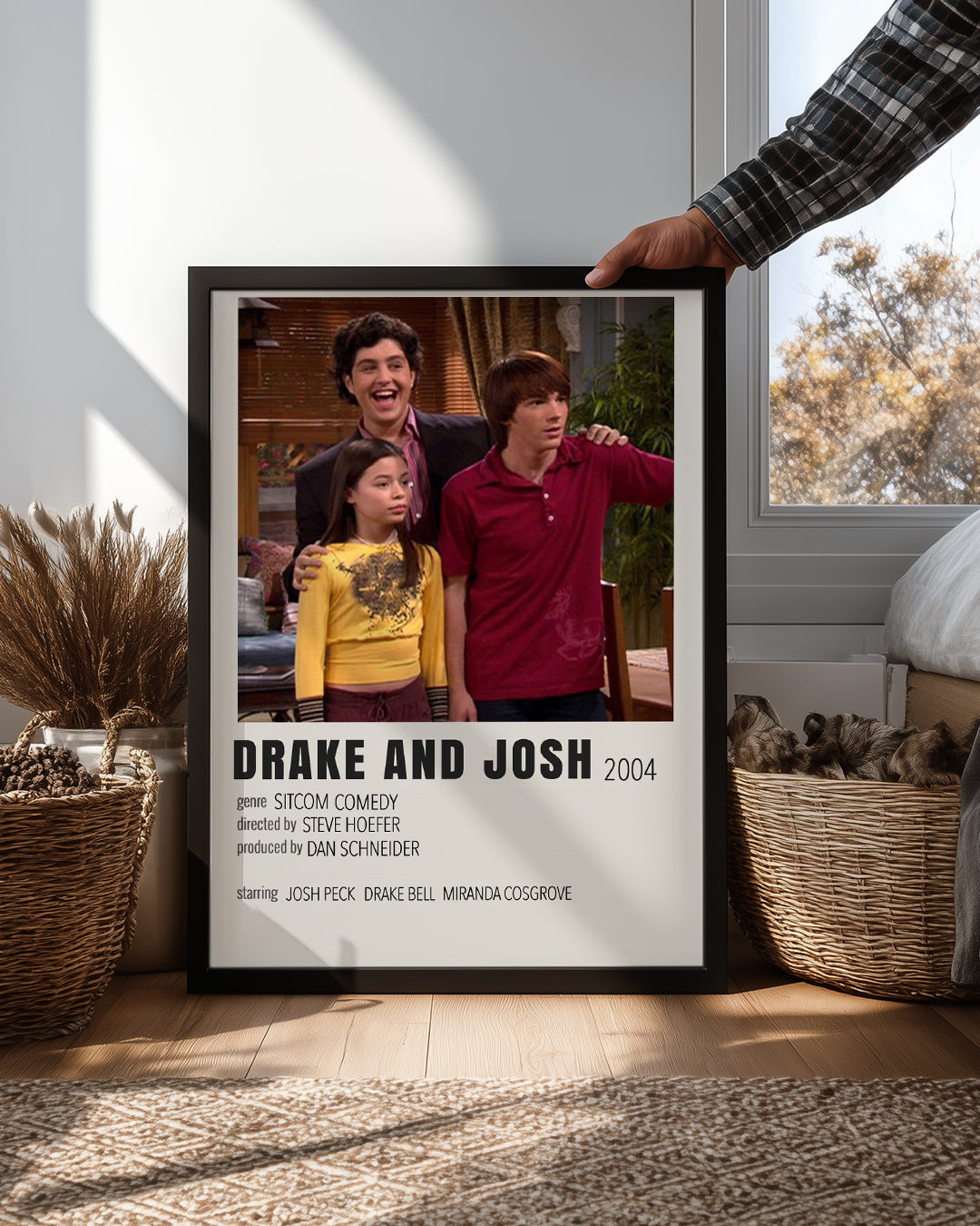 Drake And Josh Poster Tablosu