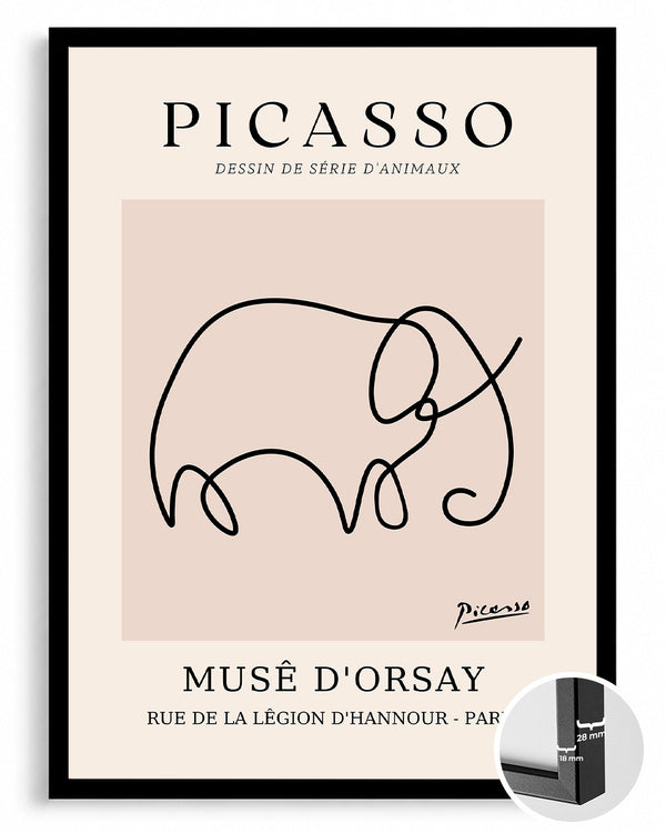 Fil - Pablo Picasso Poster Tablosu