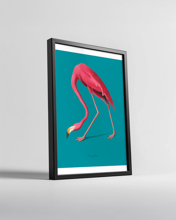 Flamenko - Pembe Tüyler Poster Tablosu