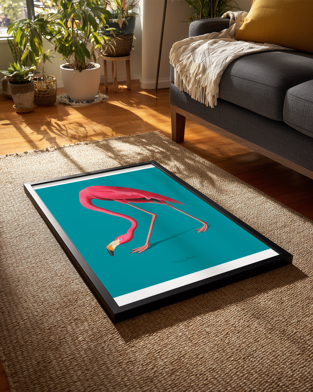 Flamenko - Pembe Tüyler Poster Tablosu
