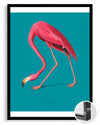 Flamenko - Pembe Tüyler Poster Tablosu