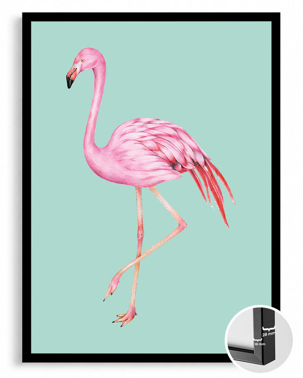Flamingo - Pembenin Zarafeti Poster Tablosu