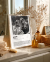 Fotoğraflı MUM Sözlük Tanımlı Poster Tablosu Poster Tablosu