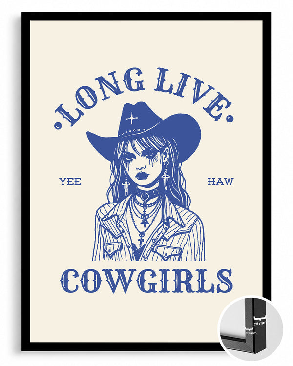 Goth Cowgirl Poster Tablosu