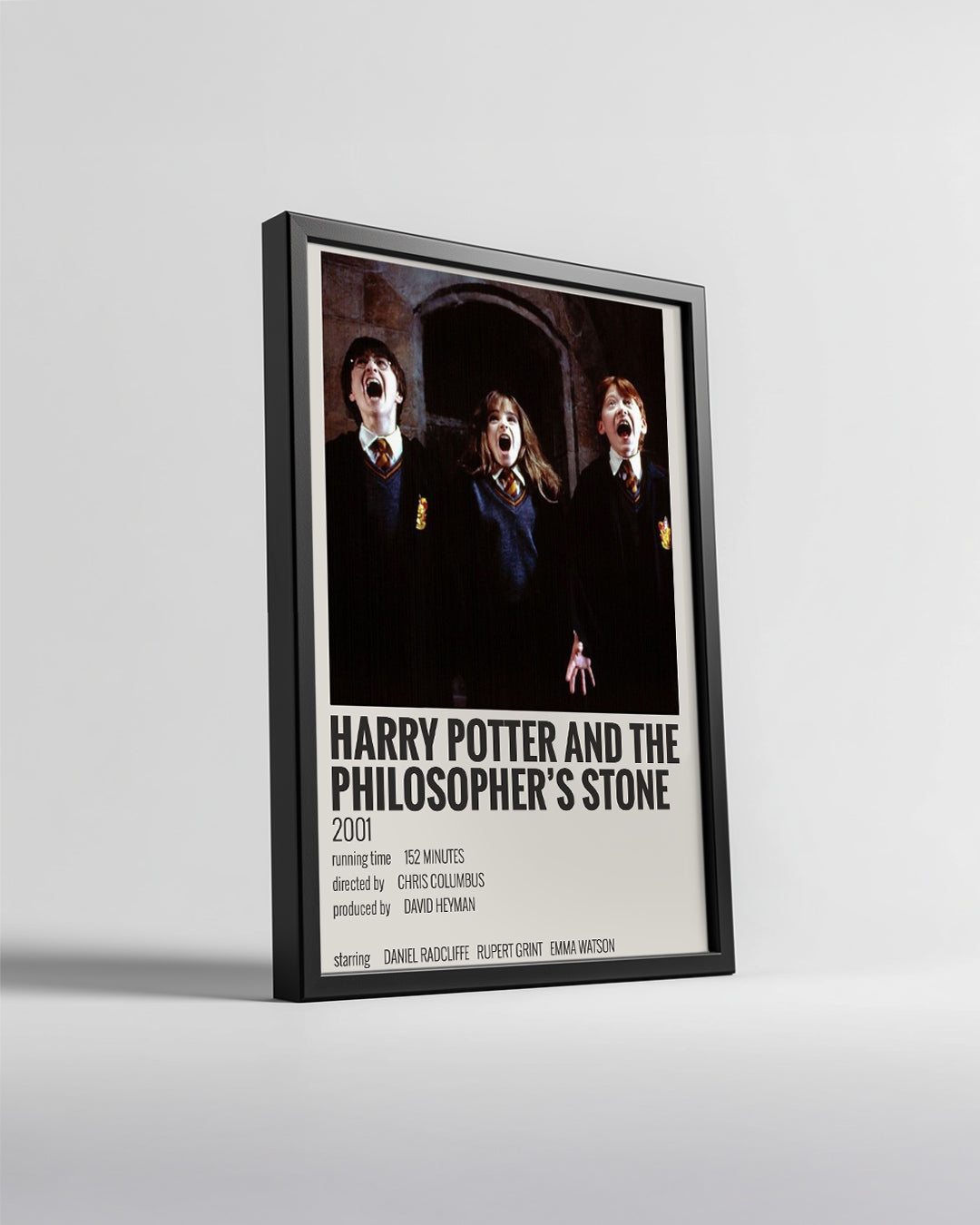 Harry Potter And The Philosophers Stone Poster Tablosu