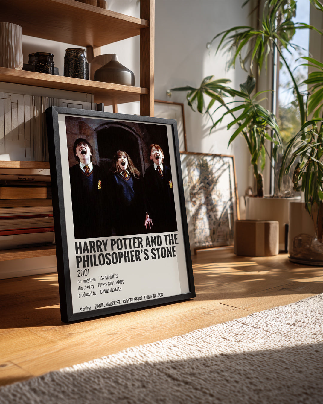 Harry Potter And The Philosophers Stone Poster Tablosu