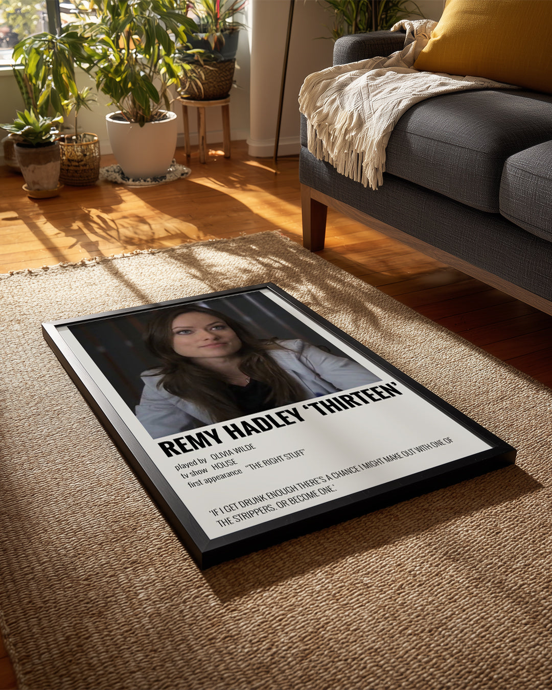 House Poster Tablosu