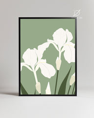 Iris Blanche Poster Tablosu
