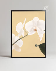 Ivoire Doux Poster Tablosu