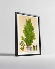 Jolly Saint Nicholas Poster Tablosu