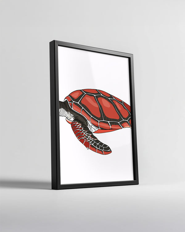 Kaplumbağa - Renkli Kabuk Deseni Poster Tablosu
