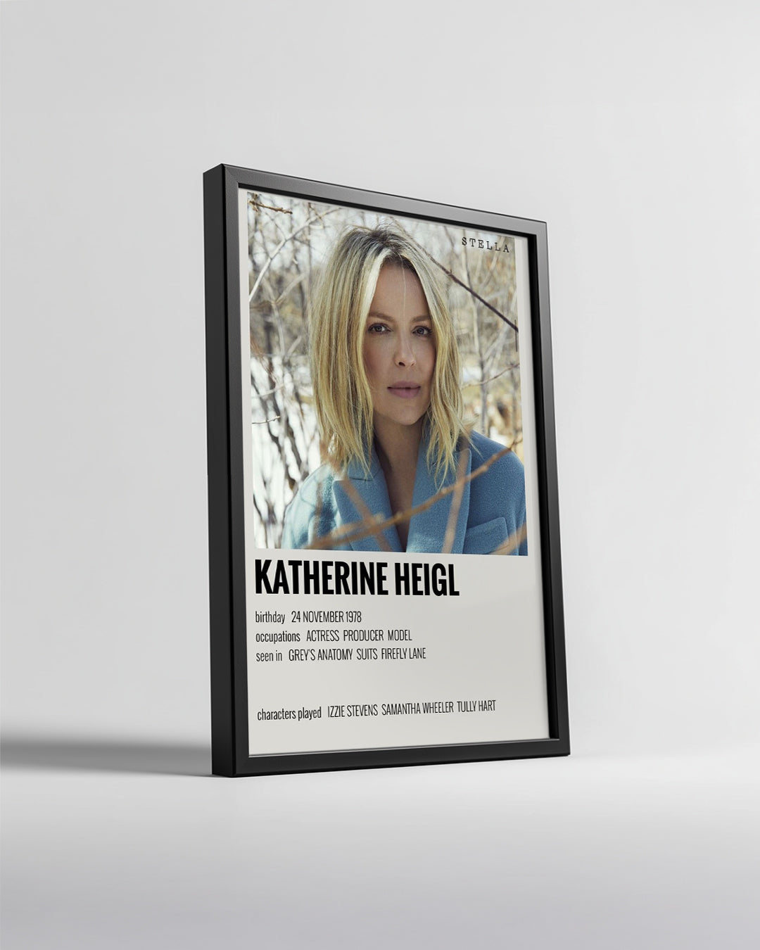 Katherine Heigl Poster Tablosu