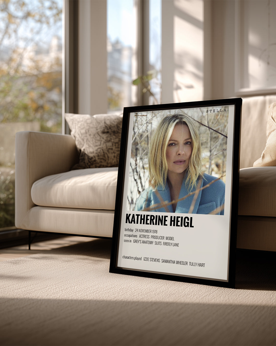 Katherine Heigl Poster Tablosu