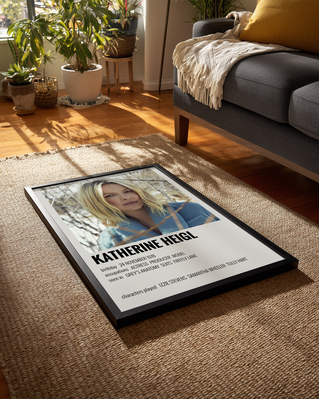 Katherine Heigl Poster Tablosu