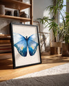 Kelebek - Mavi Kanat Deseni Poster Tablosu