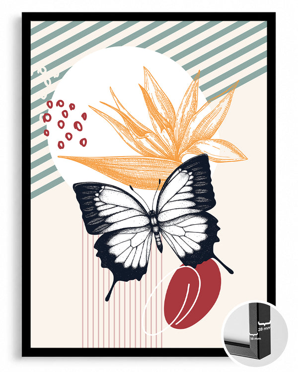 Kelebek - Siyah Beyaz Kanat Deseni Poster Tablosu