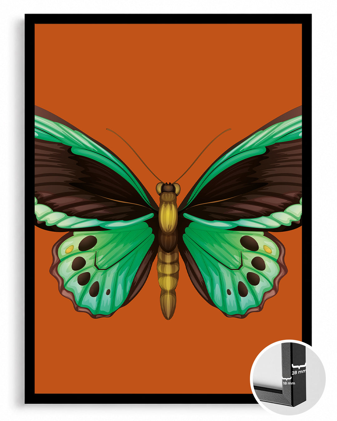 Kelebek - Yeşil Kanat Deseni Poster Tablosu