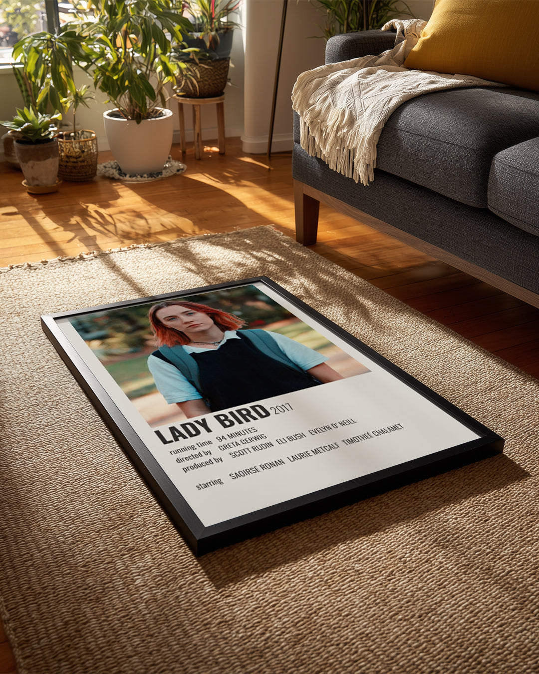 Lady Bird Poster Tablosu
