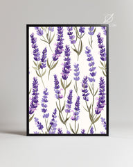 Lavender Field Poster Tablosu