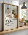 Life Of Pi Poster Tablosu