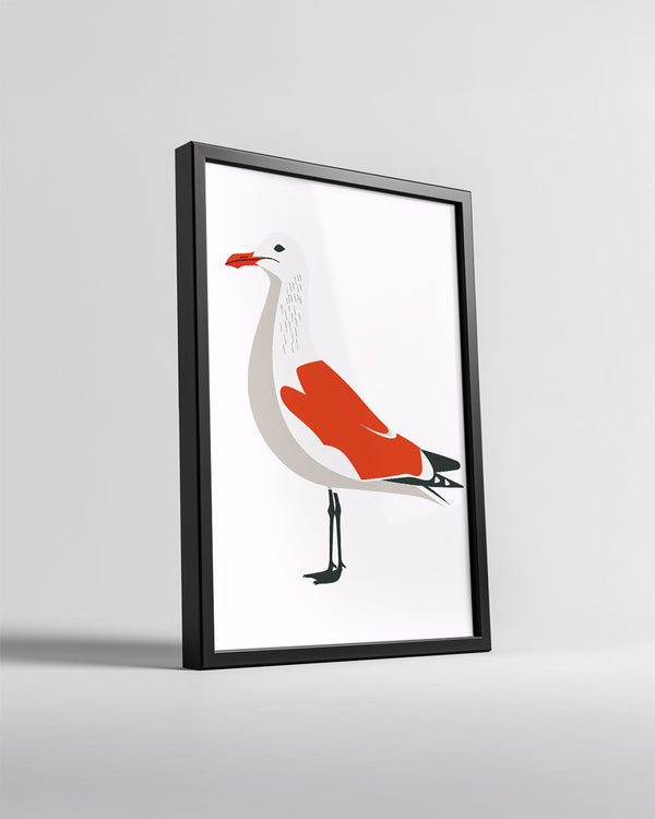 Martı - Beyaz Tüyler Üzerinde Kırmızı Renk Poster Tablosu