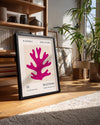 Mercan Figürü - Henri Matisse - 1955 Poster Tablosu