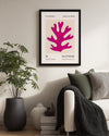 Mercan Figürü - Henri Matisse - 1955 Poster Tablosu