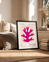 Mercan Figürü - Henri Matisse - 1955 Poster Tablosu