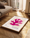 Mercan Figürü - Henri Matisse - 1955 Poster Tablosu