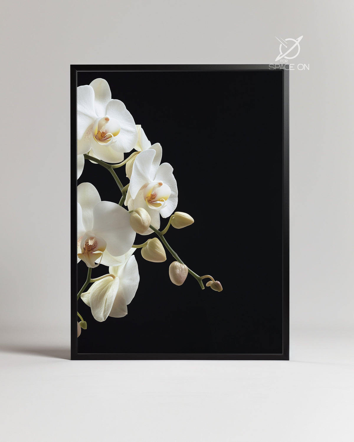 Midnight Orchid Poster Tablosu