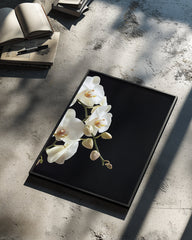 Midnight Orchid Poster Tablosu