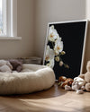 Midnight Orchid Poster Tablosu