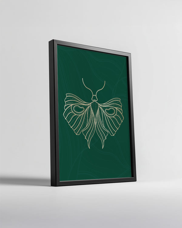 Moth - Detaylı Kanat Deseni Poster Tablosu