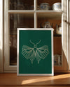 Moth - Detaylı Kanat Deseni Poster Tablosu