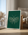 Moth - Detaylı Kanat Deseni Poster Tablosu