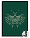 Moth - Detaylı Kanat Deseni Poster Tablosu