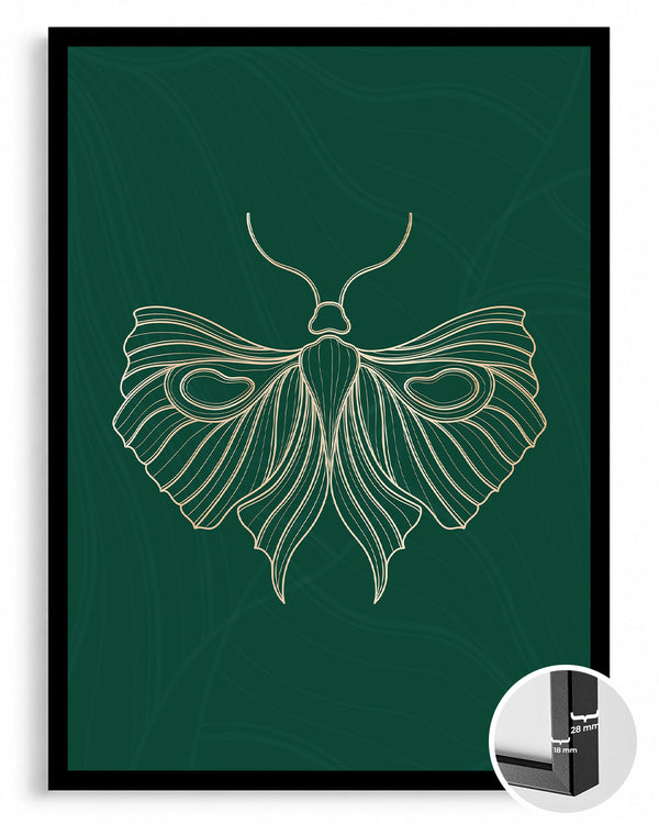 Moth - Detaylı Kanat Deseni Poster Tablosu