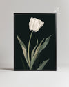 Night Ghost Poster Tablosu