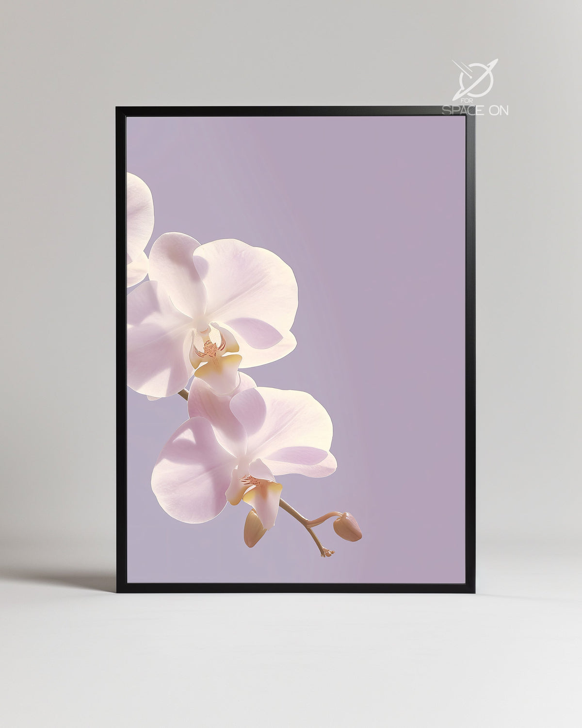 Orchid Nacre Poster Tablosu