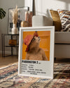 Paddington 2 Poster Tablosu